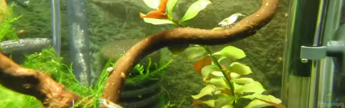 Gabi´s NanoCube30 von Gabi Schmidt