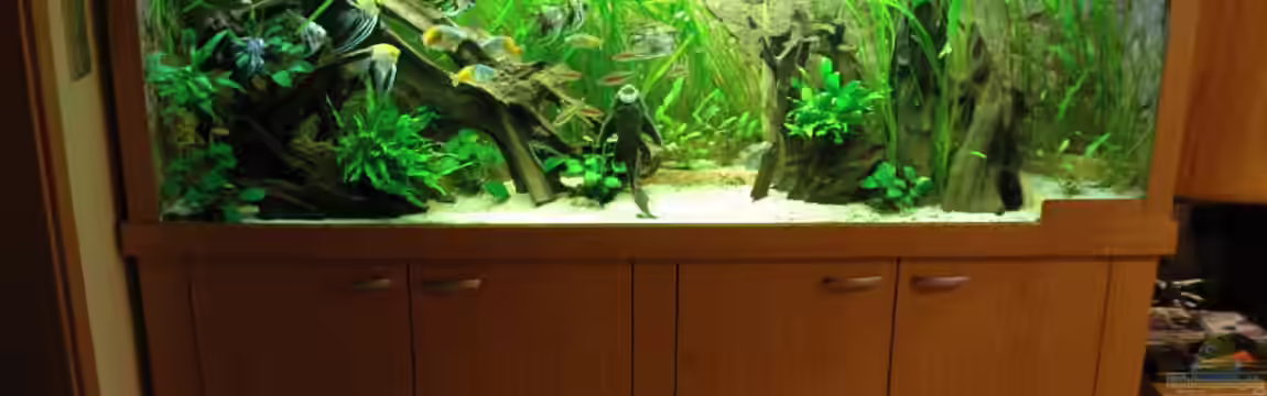 Ganzer Stolz von Stefan Hoffmann