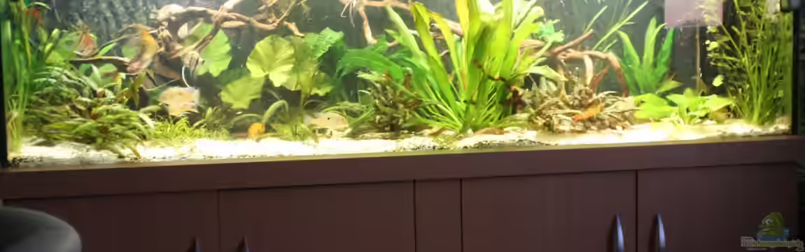 Gesellschaft 180 von Joel-Angus