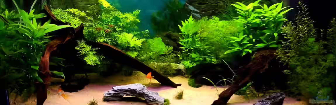 Gesellschaftsbecken 200 Liter von tobi2201