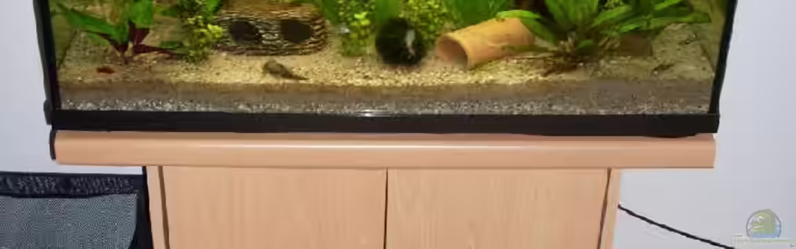 Gesellschaftsbecken (abgebaut) von sp4x