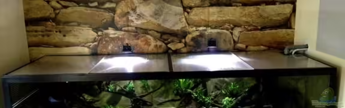 Giant and Dwarfs von Jürgen Herb