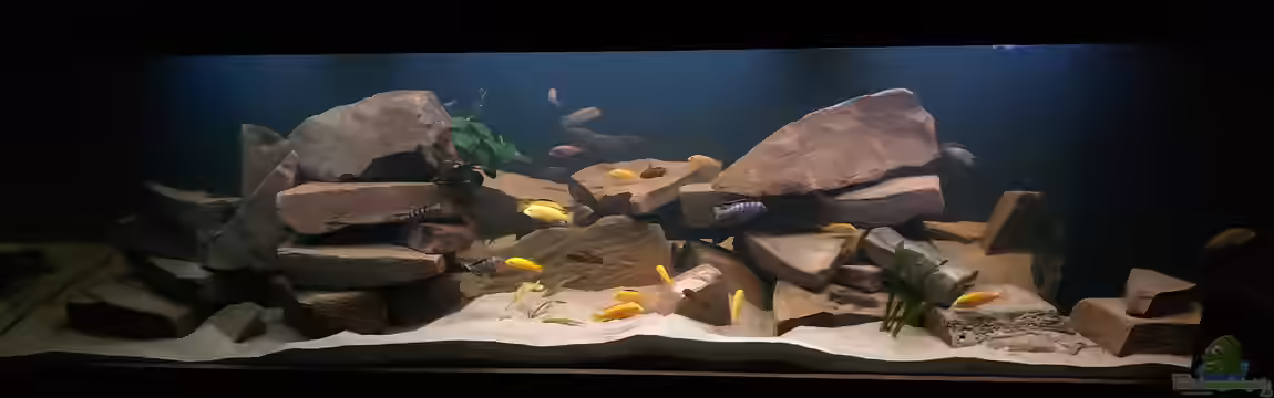 Grabensee im Wohnzimmer von Tim Gleichmann