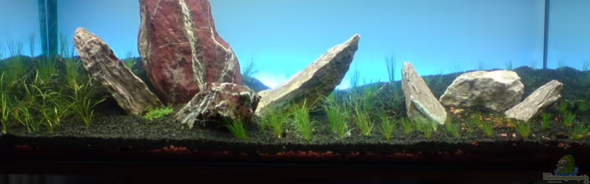 Grüner Hügel von killifreak