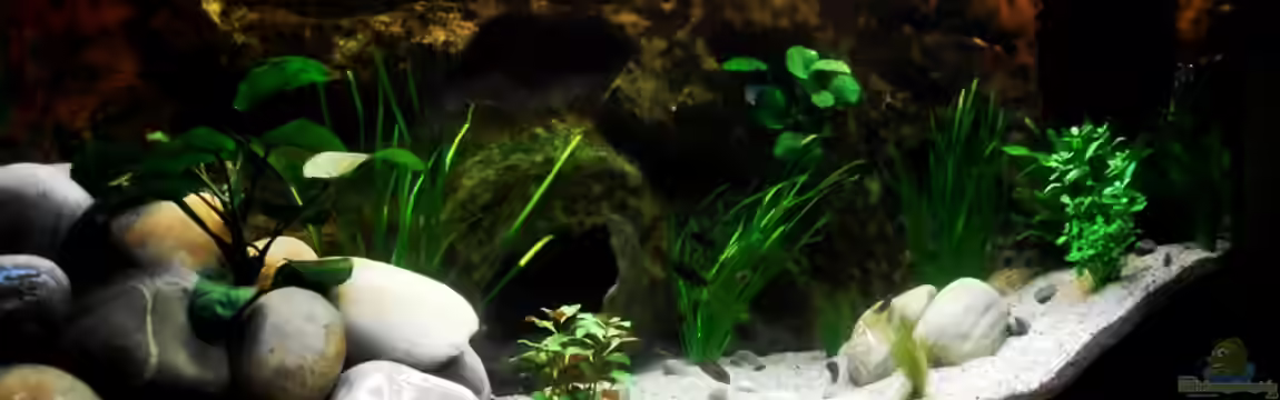 Grünes Tanganjika von Enis Caliskan