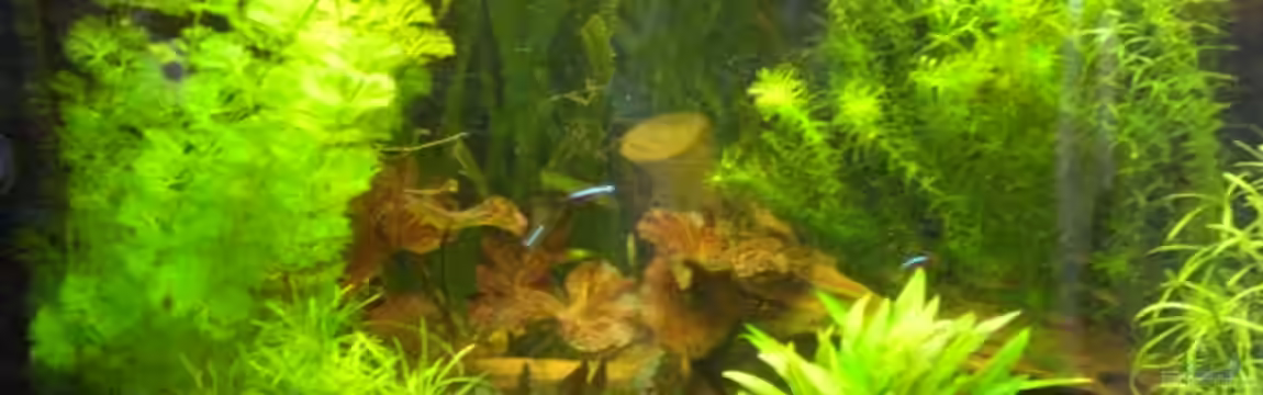 Hagisworld von Matthias Hage