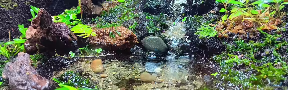 Hardangervidda von Junglist