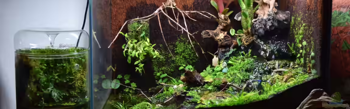 Hardangervidda von Junglist