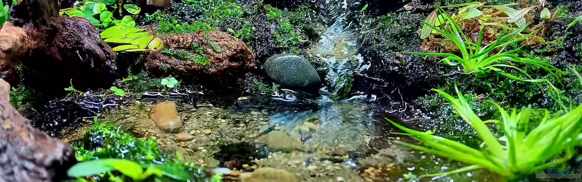 Hardangervidda von Junglist