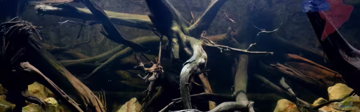 Hills of Rio Negro deadwood (Nur noch Beispiel) von GGuardiaNN