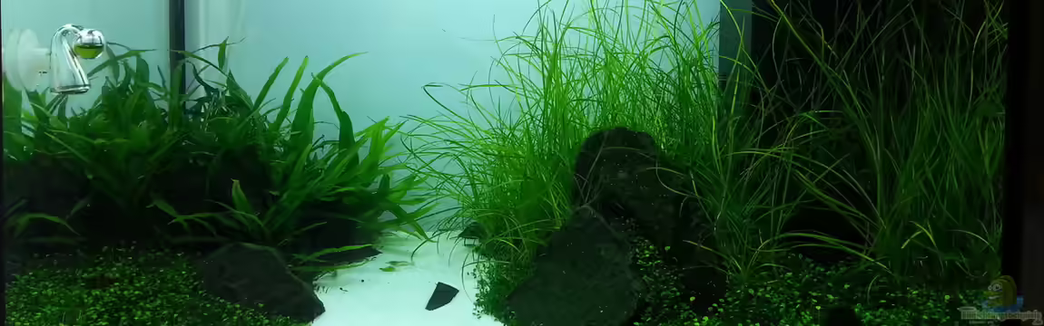 History Stones von P4mpersb0mber