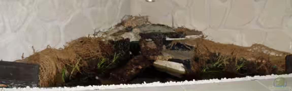 Hochteich für Schildkröten von SeLo