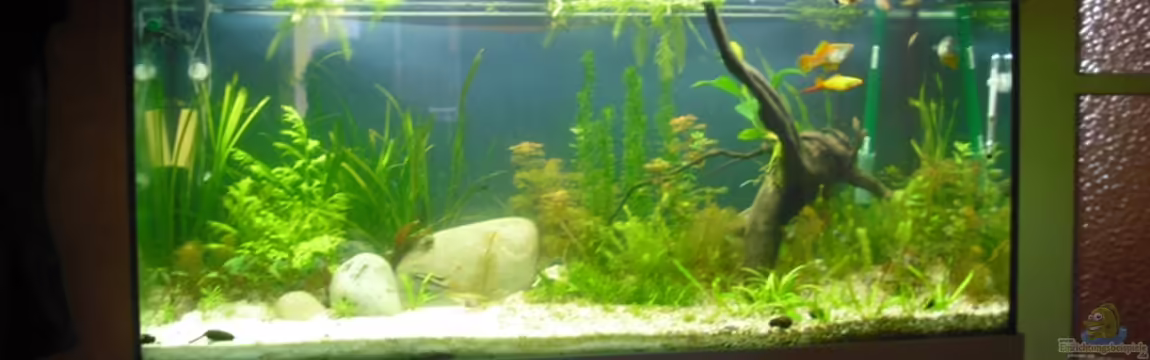 Hunters of Dune von Fireman