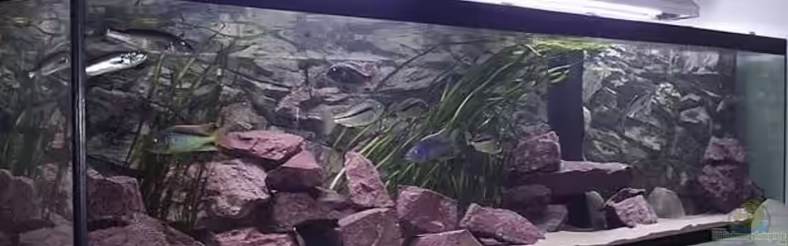 Hunters of Malawi (aufgelöst) von Jürgen Herb