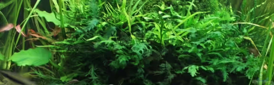 Hypercube von DPGCidol