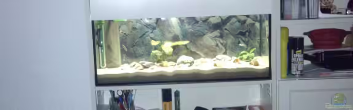 IKEA Billy Regal Aquarium von Talorin