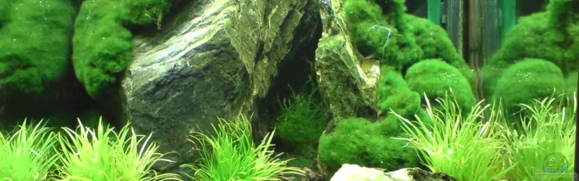 Into the Depths of Darkness von killifreak