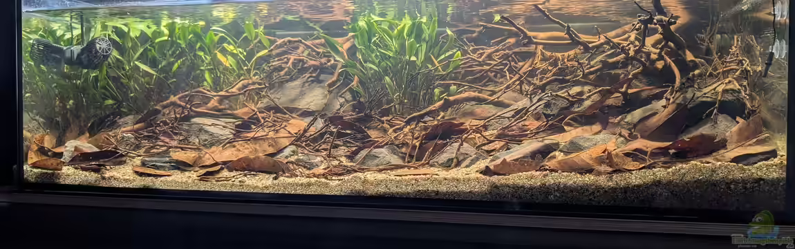 Irgendwo in Sri Lanka von GKR