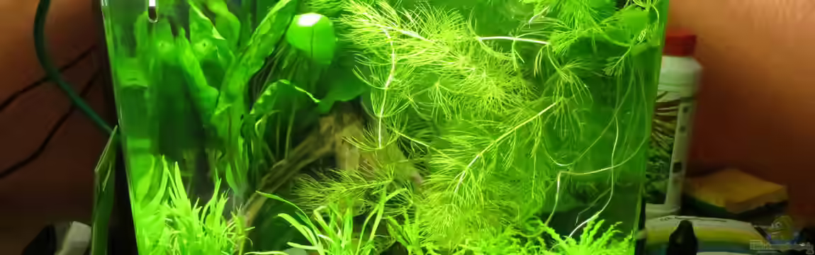 It's not the size that matters von Joe Waters