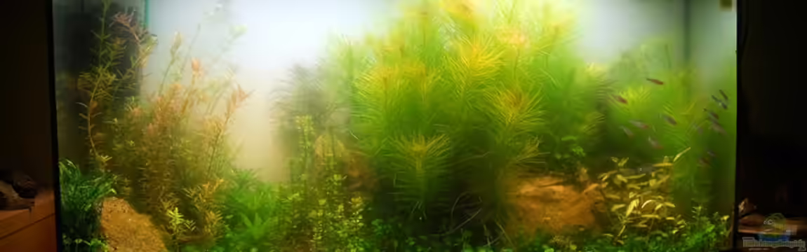 J. Vision 180 Becken von Mario Mayer