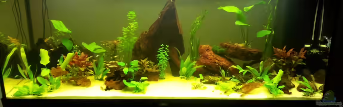 Jensens Allerlei von Jensen82