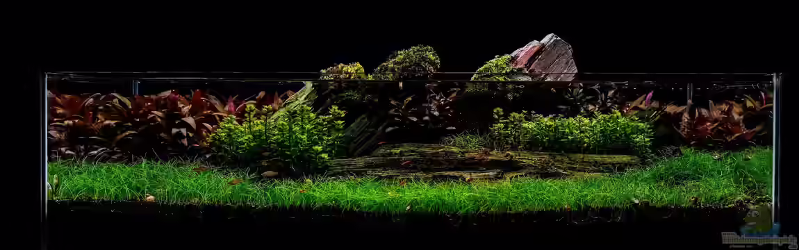 Jurassic Scape von Michael Wette