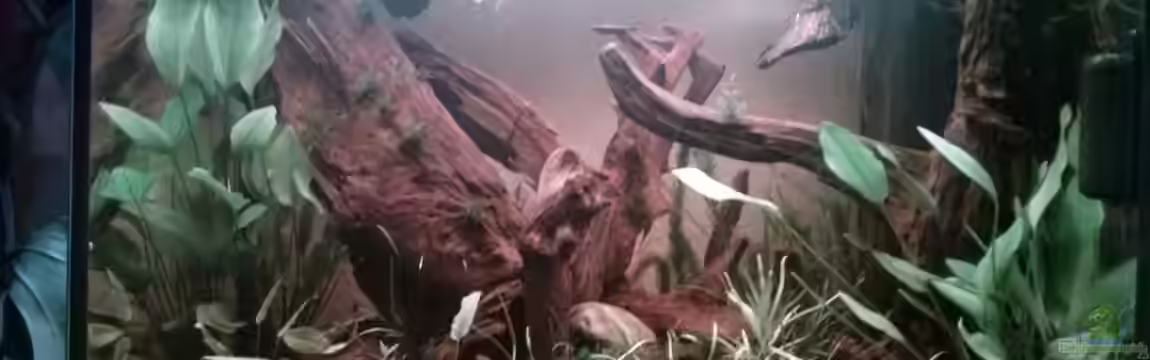 Juwel Lido 200 weiss Fx von FleXx0