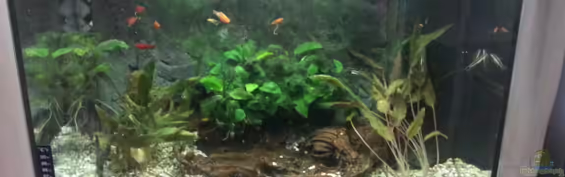 JUWEL Rekord 700 von DirtyD.