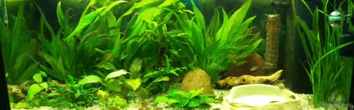 Juwel Rio 180 (Aufgelöst) von Theresa Horak