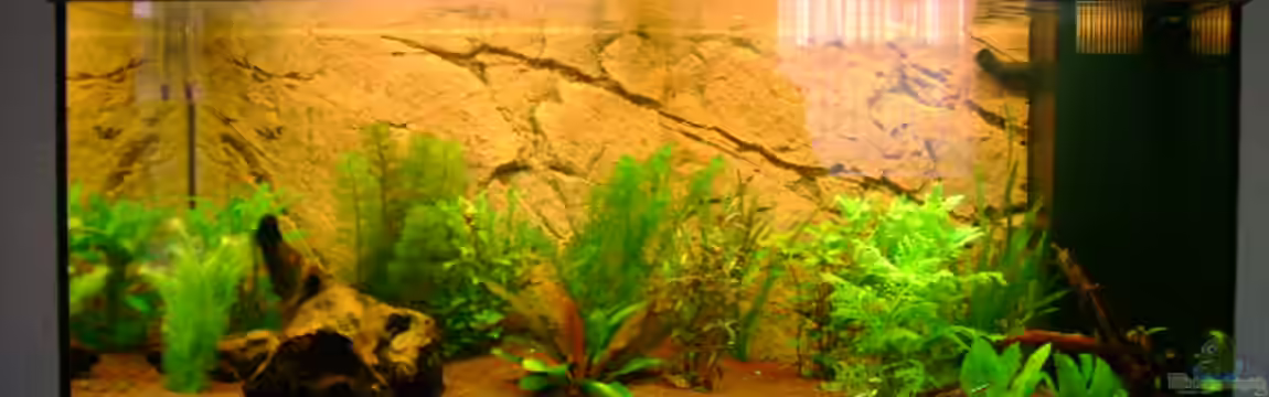 Juwel Rio 180 von Stefan Hille