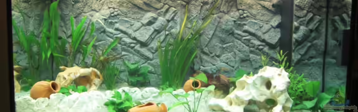 Juwel Rio 300 von weindl1987