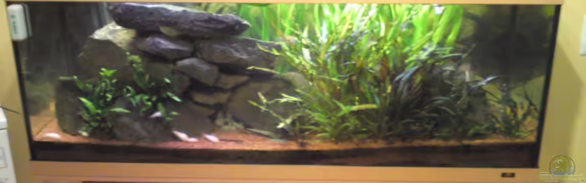 Juwel Rio 400 von Florian Förster