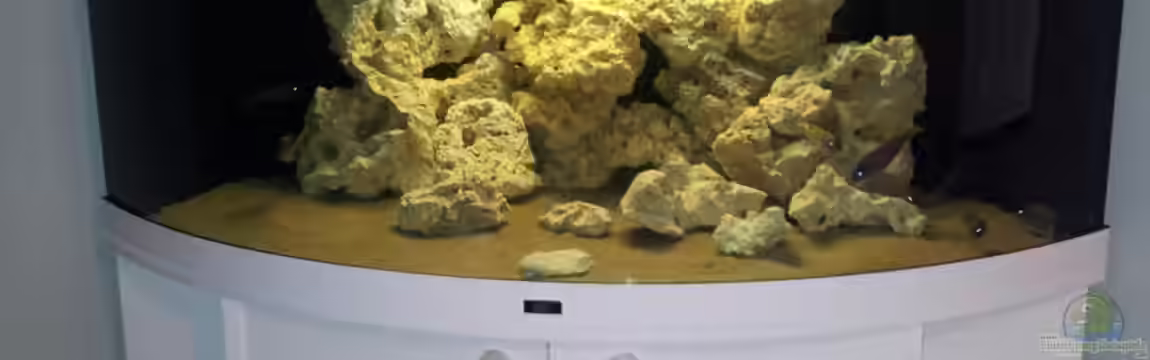 Juwel Trigon 350 Eck Aq von ibozkurt