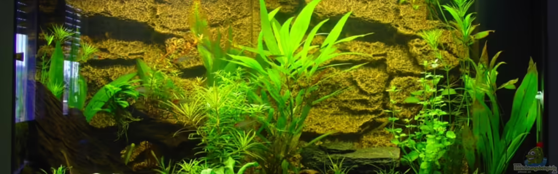 Juwel Vision 180 von S3Racer