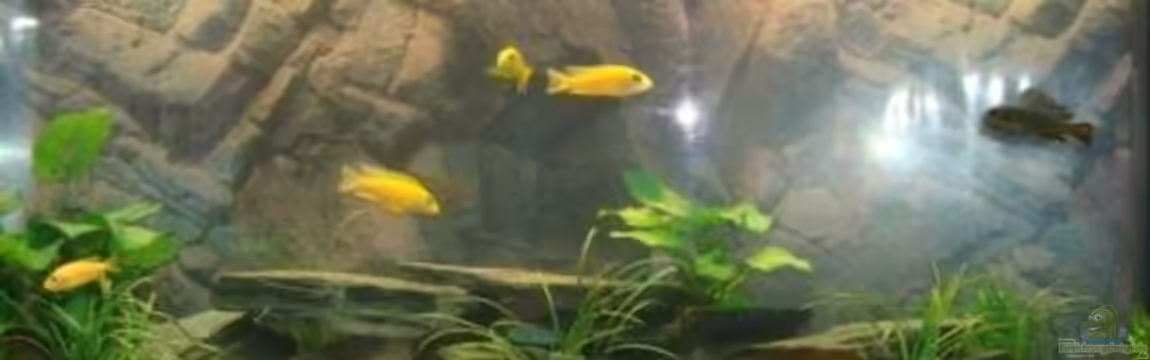 Juwel Vision 260 von malawi74