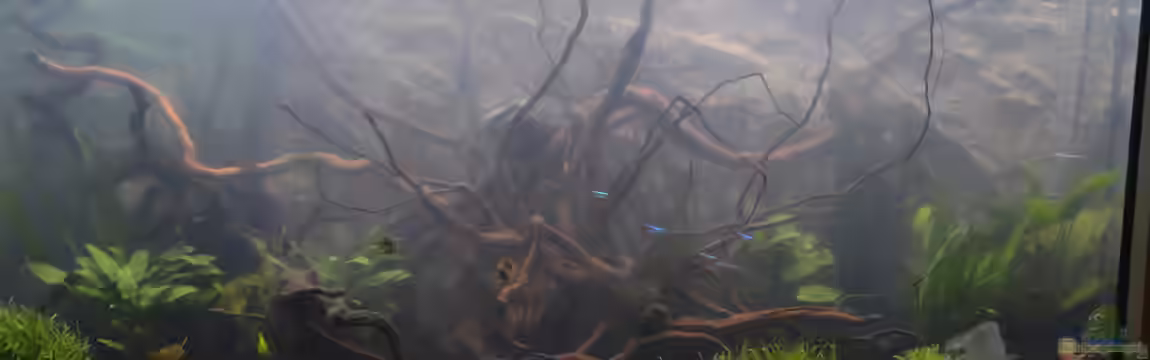 Juwel Vision 260 von Michaela