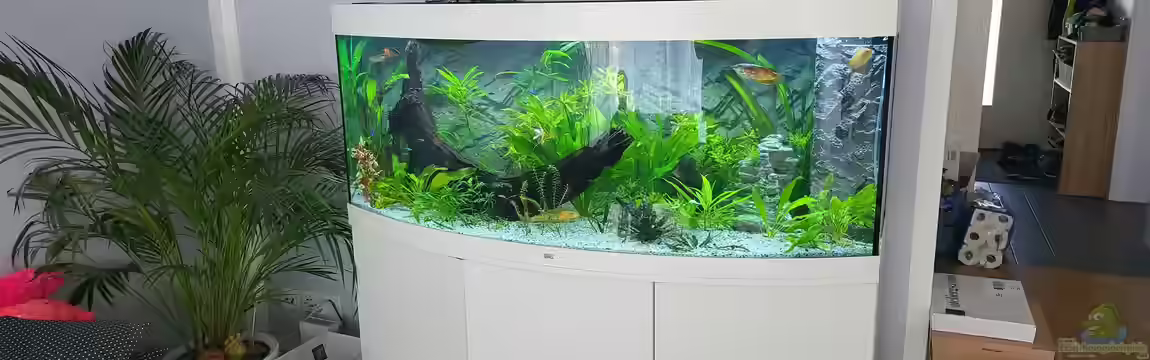 JUWEL Vision 450 Liter von Thorsten Schreiner