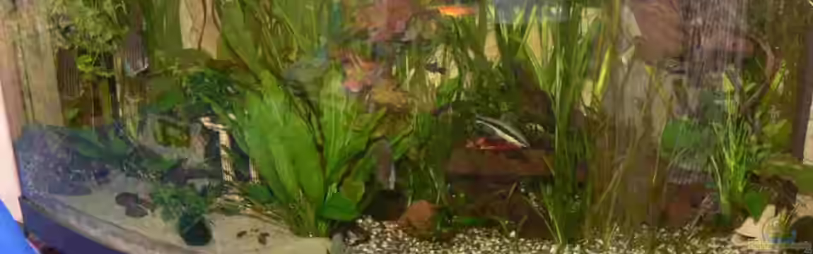 Juwel Vision 450 von Bastian Tüxen