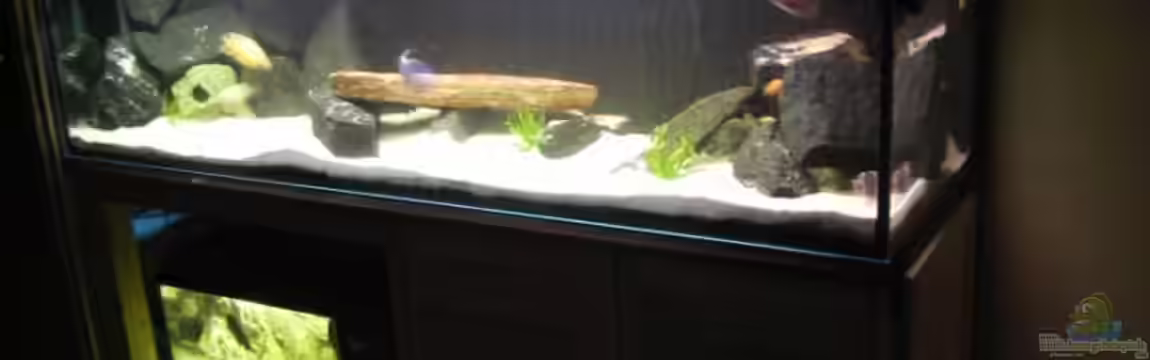 Kaiser Biotop von Dt-Floppy