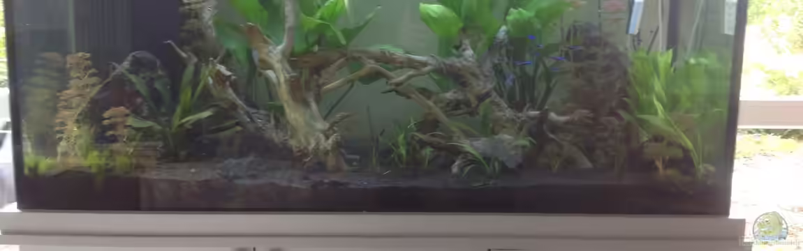 kleine Südamerika Oase von Poggy