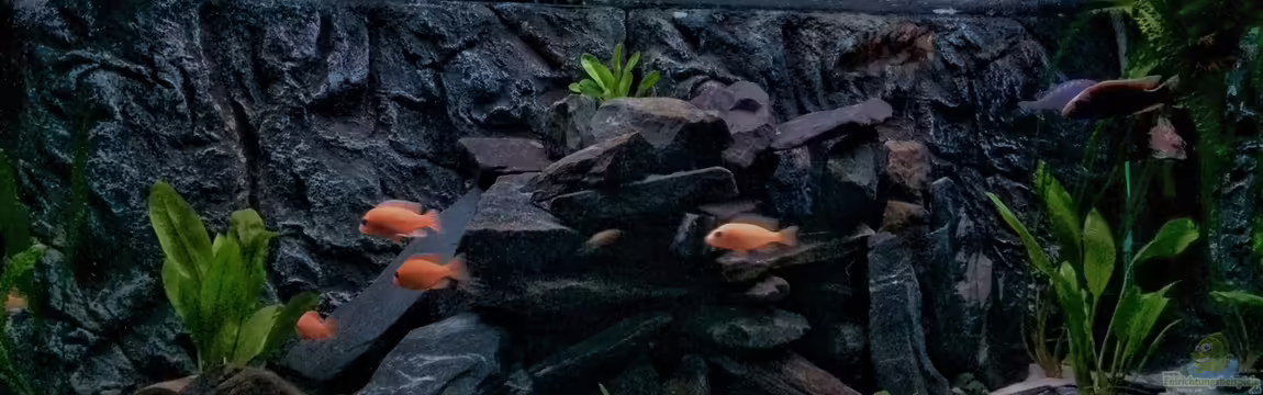 Kleines Heim von Flo87