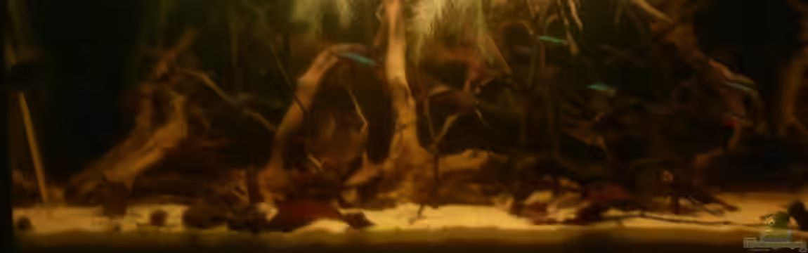 Kleines Rio Negro Imitat von NonTakt