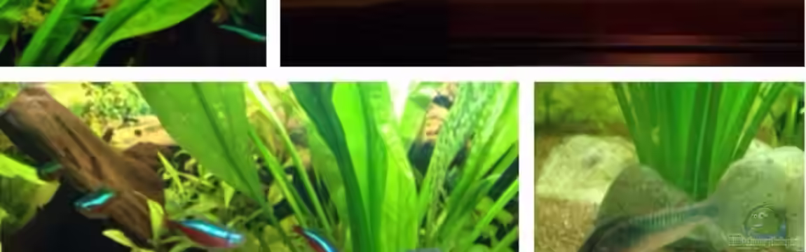 Kleines Stück Südamerika von Enzio