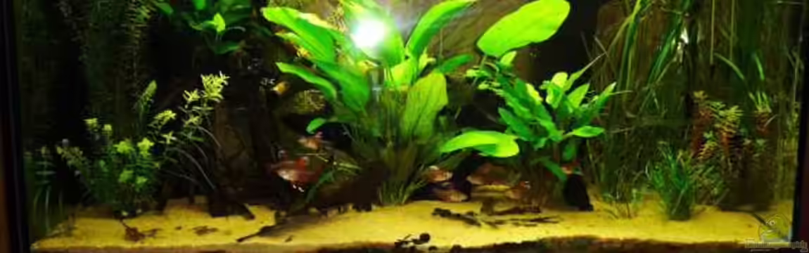 Kleines Südamerika --wurde aufgelöst--- von Stefan J.