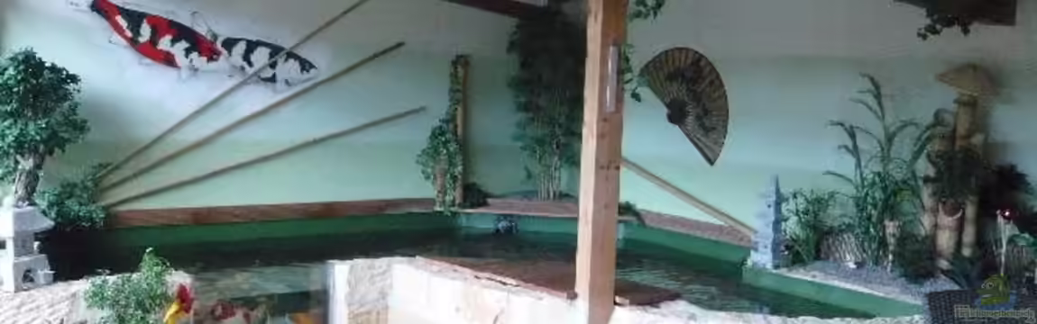 KOIBECKEN von Sascha Schleicher