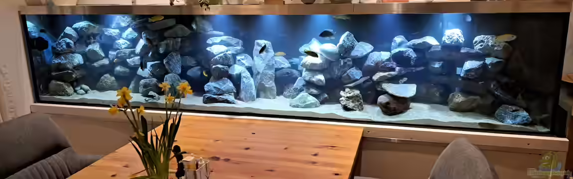 Küchenfische von Raid_0