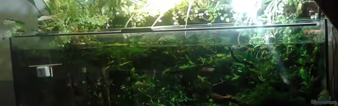 Kühlwasserbecken von Wasserstern ALK