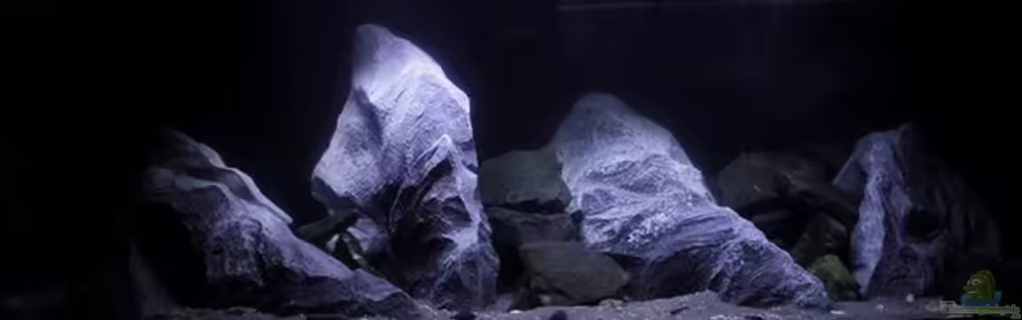 Lake Malawi von Jürgen Hubral