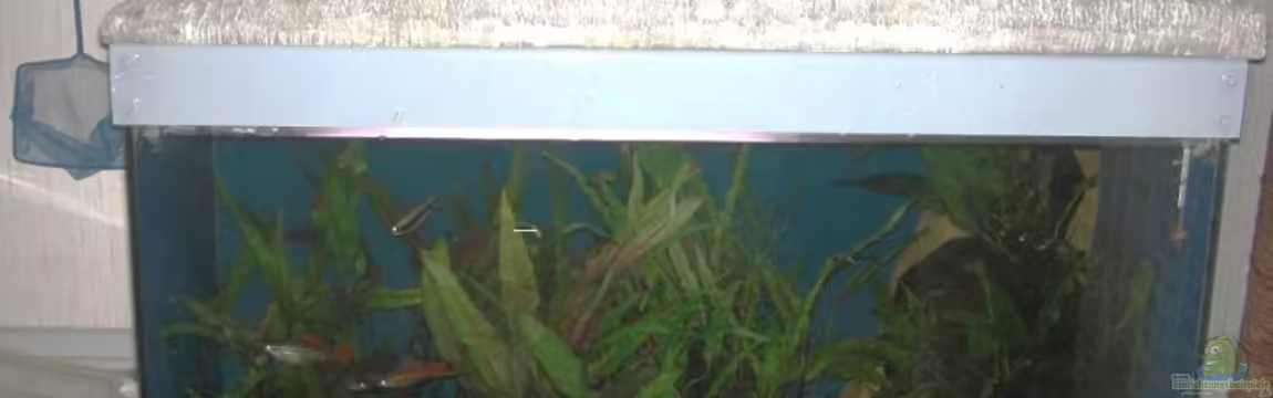 Landschaftsaquarium von DerNürnberger