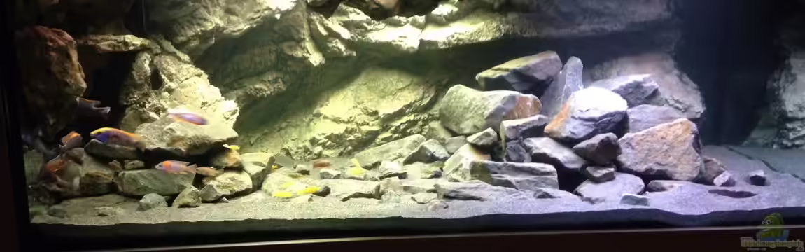 Lennis Malawi Cave von Tooooni